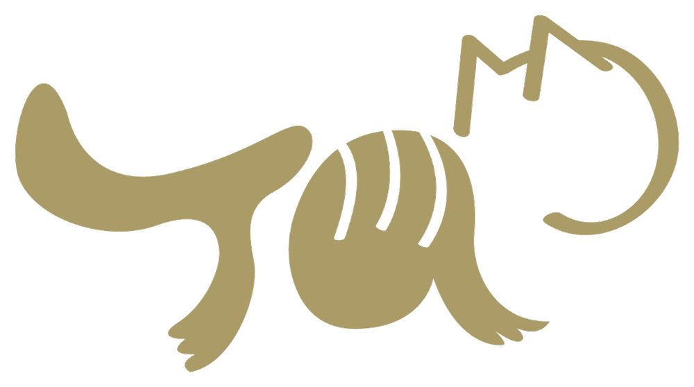 它宠 Logo